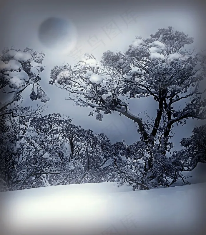 冬天，白色，蓝色，雪，自然，冷