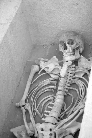 骨架，坟墓，考古遗址，黑色和白色