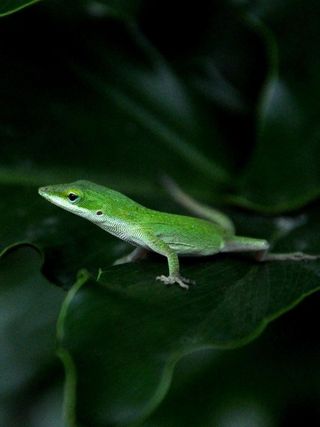 摄影师在2010年陆军数码摄影大赛110311中开拓了视野