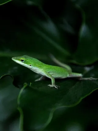 摄影师在2010年陆军数码摄影大赛110311中开拓了视野