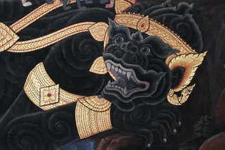 黑色，演示，猫，金，猫科动物，精神，动物