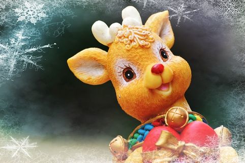 圣诞节，最难，无花果，装饰，礼物，12月