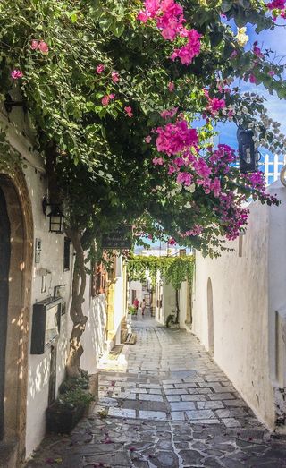 岛，希腊，伟大，太阳，罗兹夏天