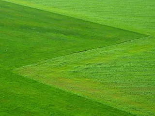 草地，绿色，草，自然，景观，广场