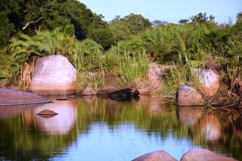 水牛城，早晨，野生动物园，非洲，坏