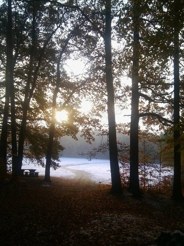日出，Morgenstimmung，景观