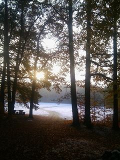 日出，Morgenstimmung，景观