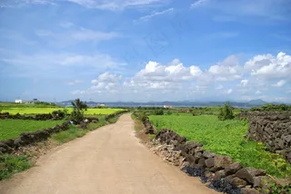 济州岛，乌度岛，奥勒·吉尔，奥莱岛，济州岛，自然