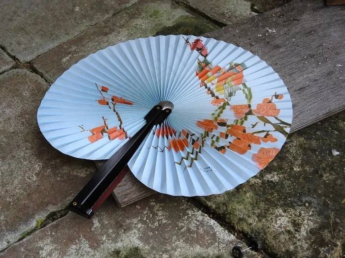 粉丝，细节，多普利基，中国