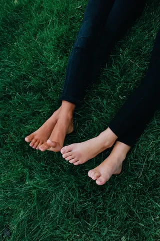 脚，草，最好的朋友，自然，夏天，人，腿