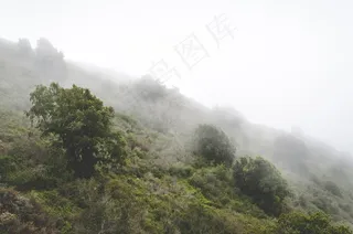 小山，雾，薄雾，植被，草地，景观，自然