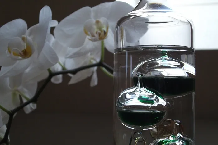 现代，艺术形象，创意，艺术