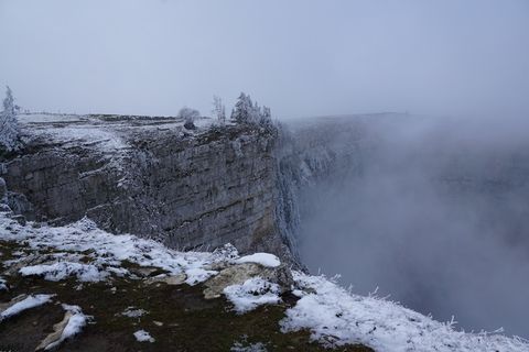 雾，冬天，树，景观，自然，雪