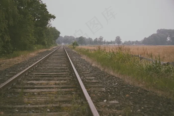 铁路轨道,街道,火车,长城,树,森林铁路