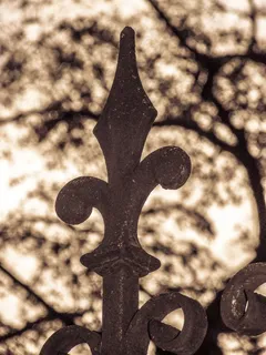 围栏，围栏顶部，奥地利，维也纳新城，金属，铁