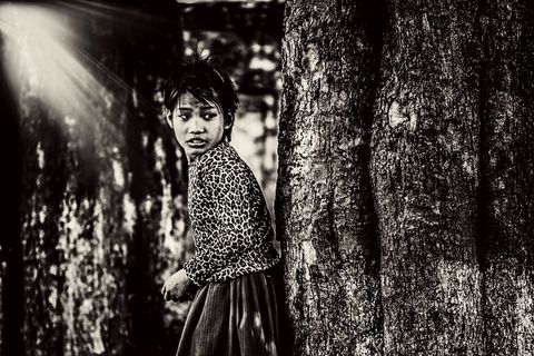 森林，女孩，年轻，女性，自然，户外，人