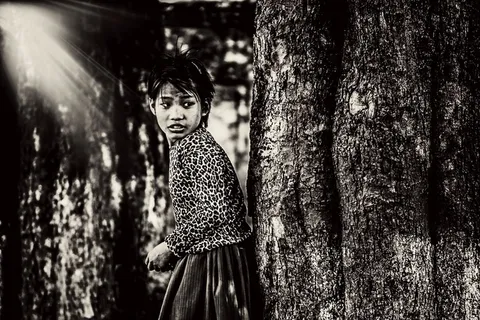 森林，女孩，年轻，女性，自然，户外，人