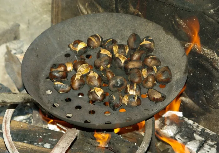 栗子，炉子，壁炉，烧烤炉