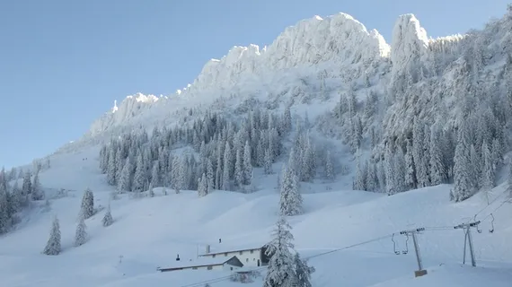 坎彭万德，冬天，滑雪