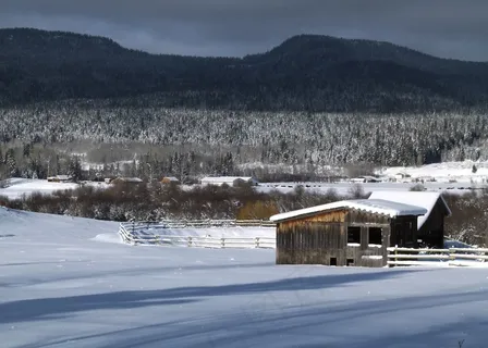 冬季，季节，寒冷，雪，冰冷，景观，风景