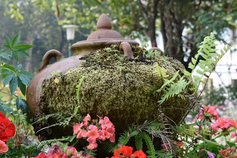 坛子，古代，神器