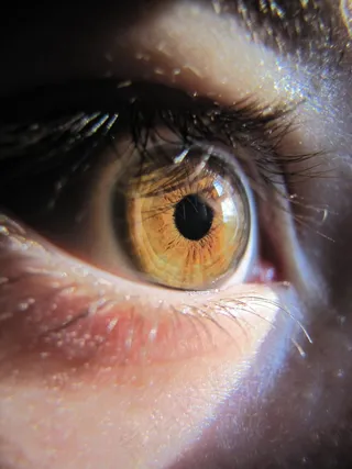 眼睛，宏，Szupermakró，虹膜，手表，睫毛，皮肤