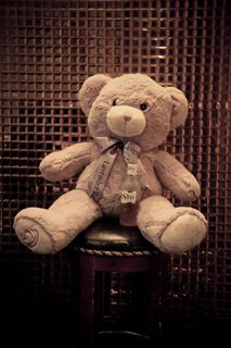 熊，葡萄酒瓶，可爱，弓，眼，脚