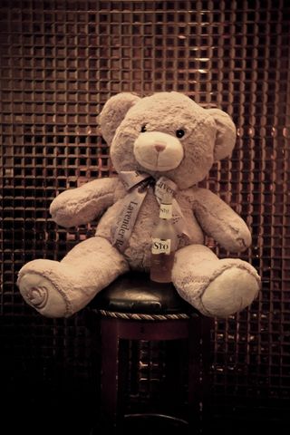 熊，葡萄酒瓶，可爱，弓，眼，脚