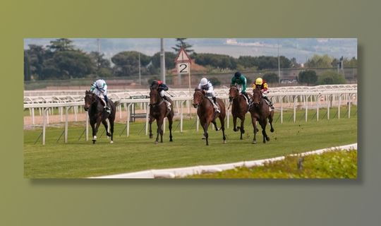 马匹，种族，火车站，罗马，卡潘内尔