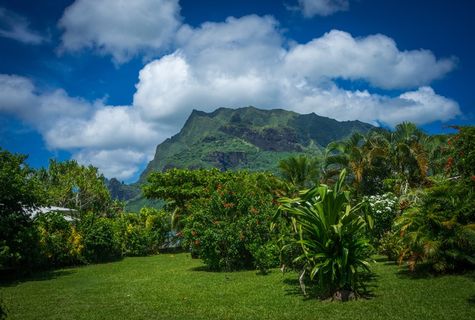 莫雷阿岛，花园，南太平洋，法属玻里尼西亚，异国