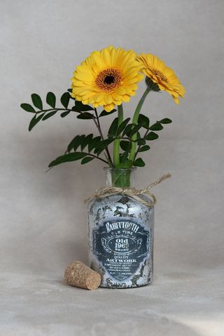 鲜花，非洲菊，橙色，橙花，花瓶，Dekovase