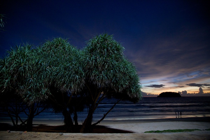 树,海洋,风景,天空,花卉,在普吉岛的日落