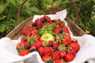 草莓，水果，苹果，浆果，篮子，野餐