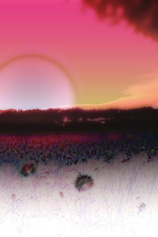 天空,月夜,霞光,花海,卷积云,我的心在发光