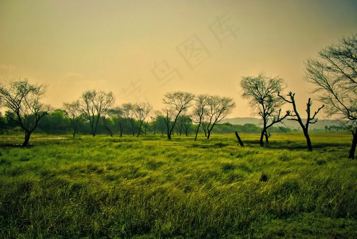 绿色，风光，自然，景观，夏天，树，风景名胜