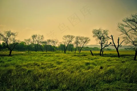 绿色,风光,自然,景观,夏天,树,风景名胜 绿色,风光,自然,景观,夏天,树,风景名胜