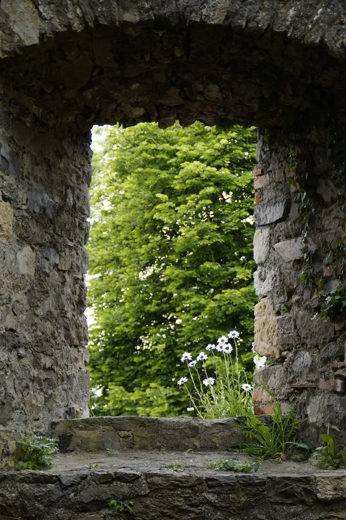 城堡，废墟，中世纪，Hohentwiel，Hegau