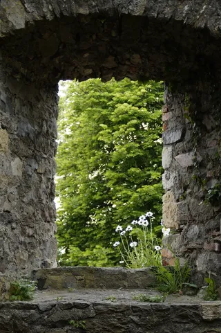 城堡，废墟，中世纪，Hohentwiel，Hegau