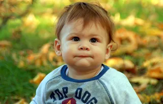 婴儿，男孩，微笑，叶子，秋季，黄色，儿童，性质