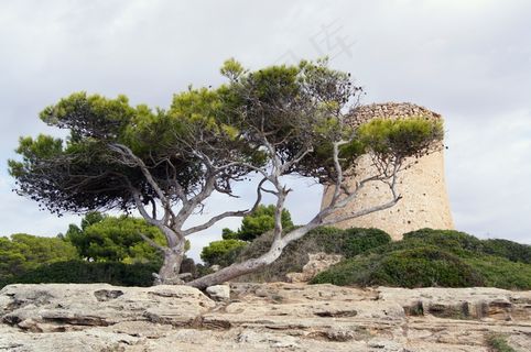马洛卡,海盗,景观,塔 马洛卡,海盗,景观,塔