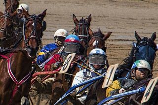 体育比赛，小跑，比赛，马，体育