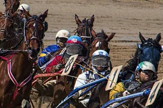 体育比赛，小跑，比赛，马，体育