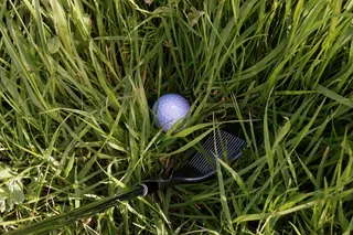 高尔夫球在草丛中