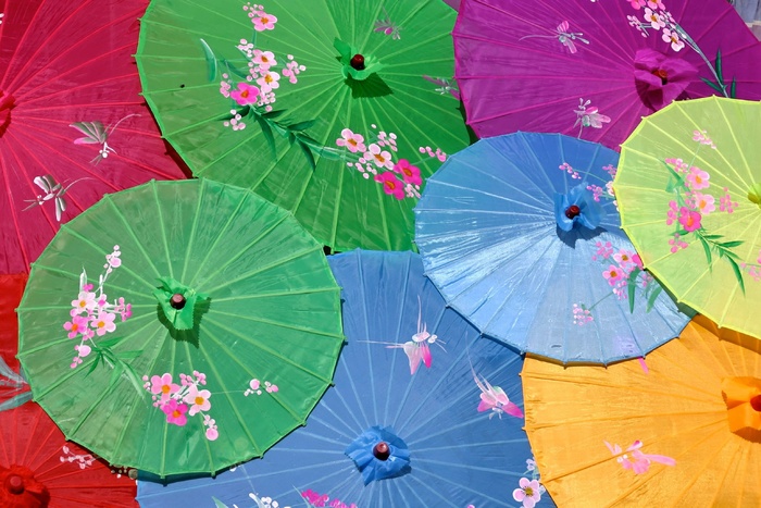 阳伞，中国，亚洲雨伞，亚洲，节日