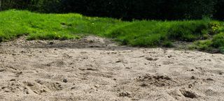 夏天，关闭，春天，季节，表面，沙子，休息