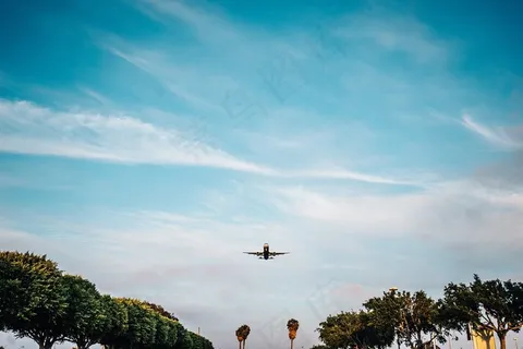 天空,树,风景,海洋,白云,飞行飞机飞机降落 天空,树,风景,海洋,白云,飞行飞机飞机降落