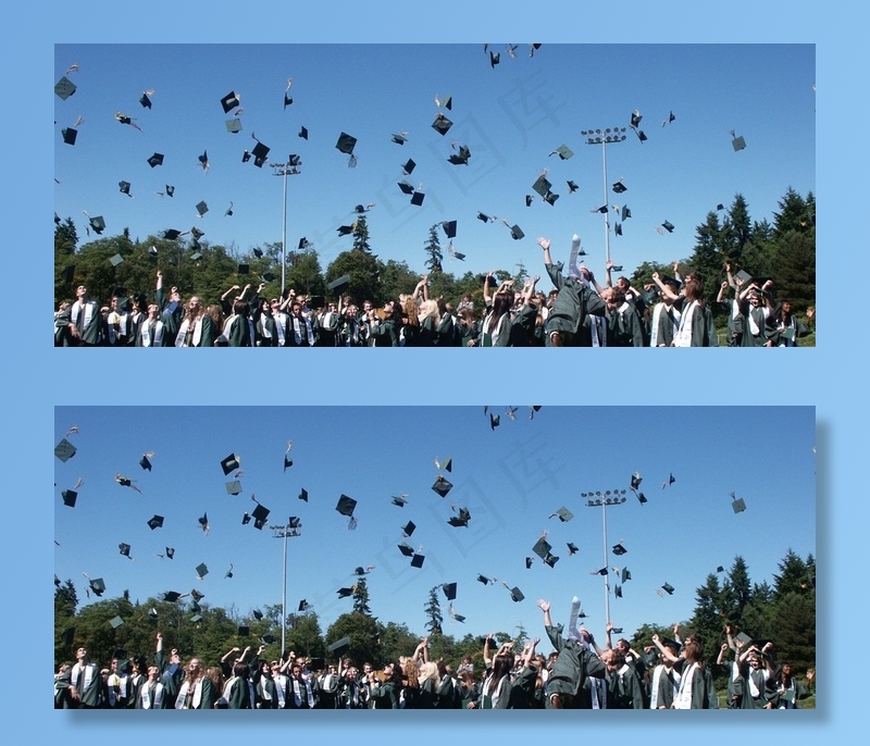 树,风景,天空,鸟的天堂,图画,大学毕业的学生