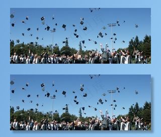 树,风景,天空,鸟的天堂,图画,大学毕业的学生