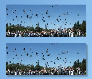 树,风景,天空,鸟的天堂,图画,大学毕业的学生