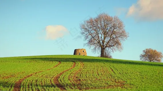 云，天空，树，树木，风车，草